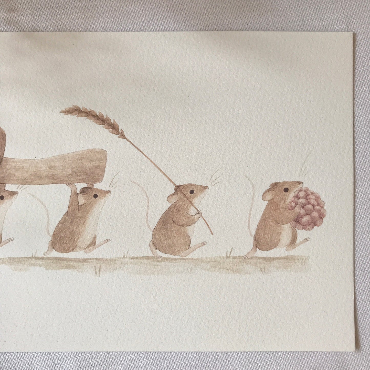 Harvest Mice Art Print
