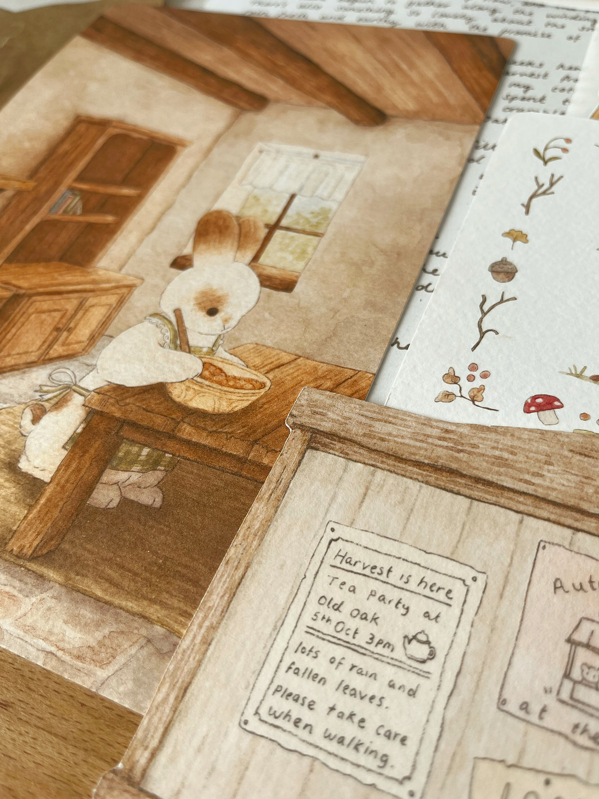 Letters from Elderberry Brook- Letter 01 Autumn/Winter 2026