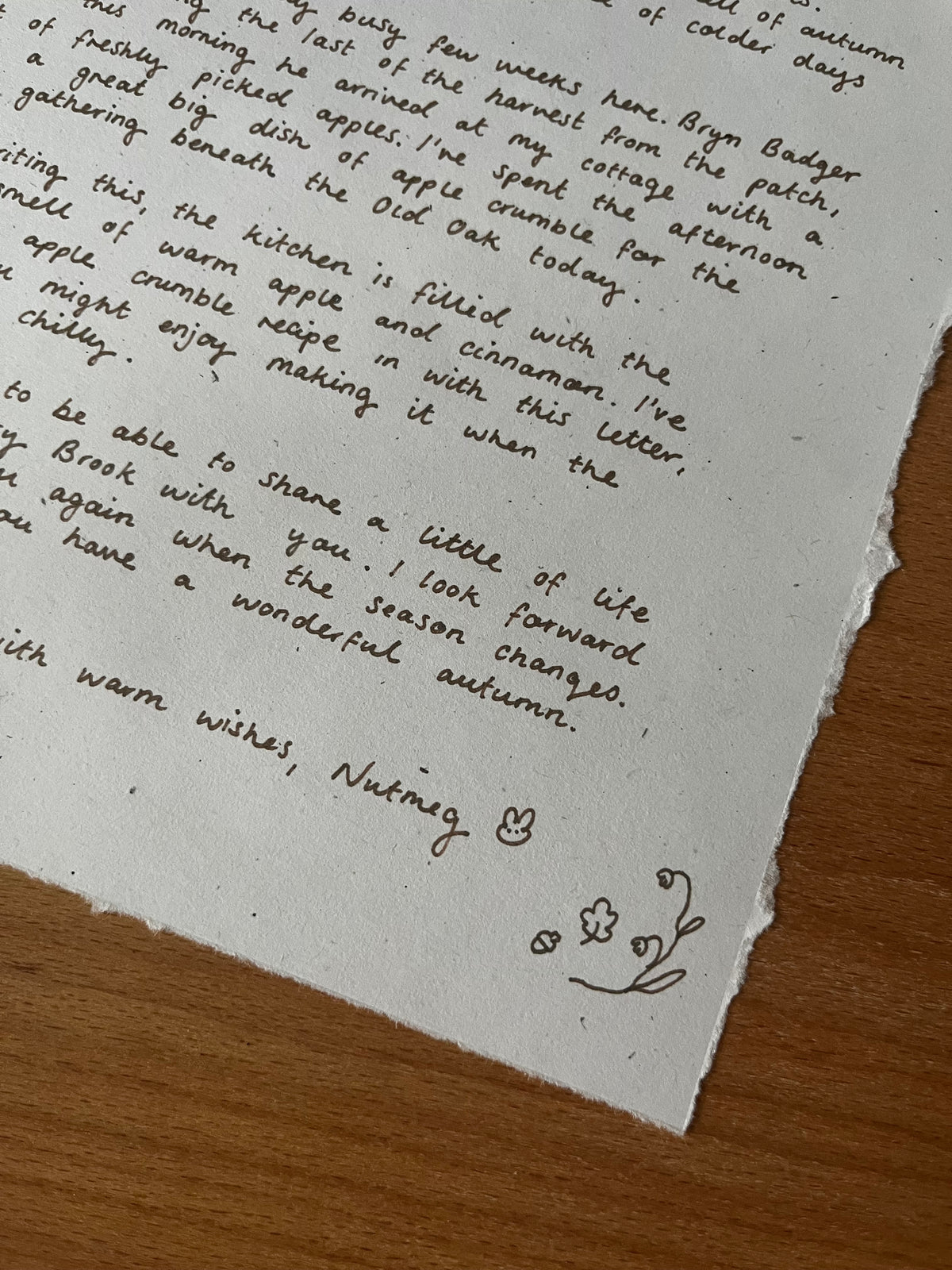 Letters from Elderberry Brook- Letter 01 Autumn/Winter 2026