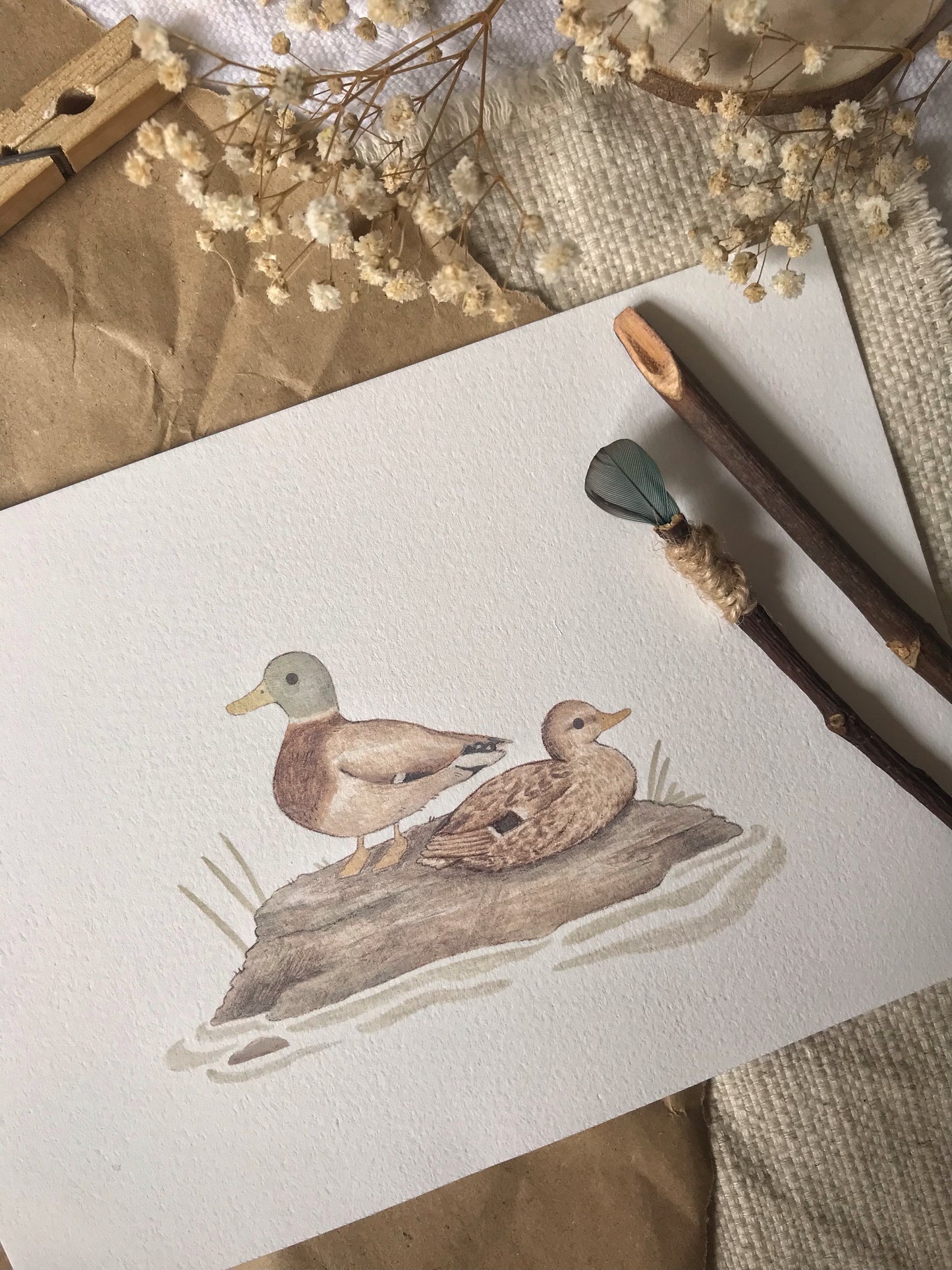 Mallard Duck Couple Art Print