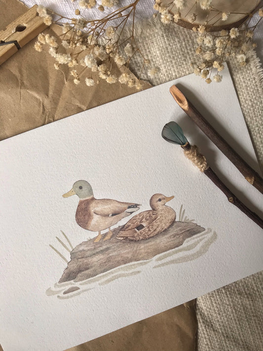 Mallard Duck Art Print featuring ducks resting on a rock in a woodland pond, ideal for adding a nature-inspired touch to home decor.