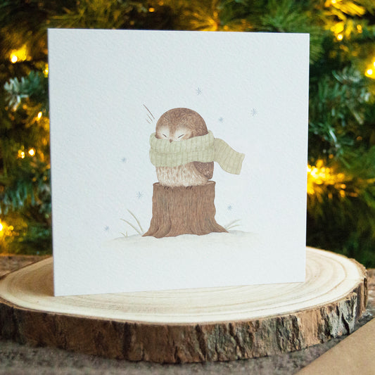 Owl Christmas Greeting Card